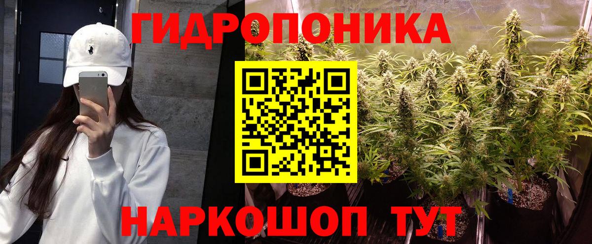 Канабис конопля Качканар